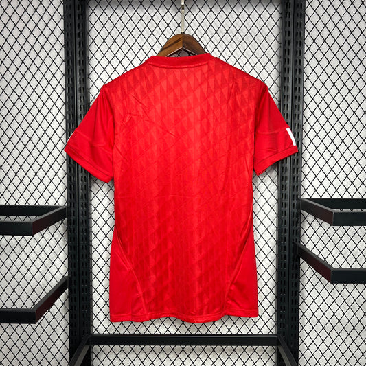 2010/11 Liverpool Home