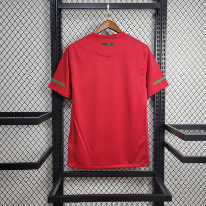 2010/10 Portugal Home